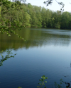 Nachmittag am Steinertsee